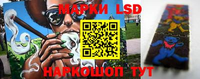 Альфа ПВП Кунгур