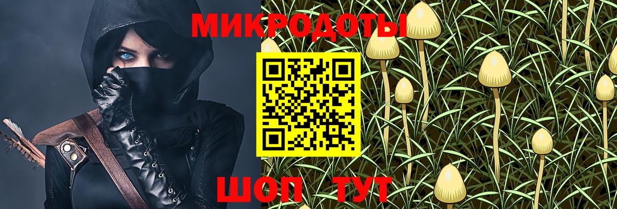 что такое   Вход с VPN  Донецк  Галлюциногенные грибы мицелий  Псилоцибиновые грибы Cubensis 