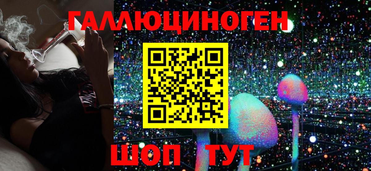 Псилоцибиновые грибы Psilocybe Донецк